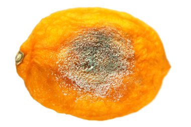 Beyaz üzerine çürük limon 