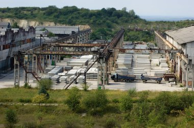 Betonarme yapıların bitki