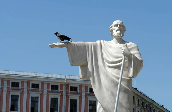 Corvo e monumento — Foto Stock