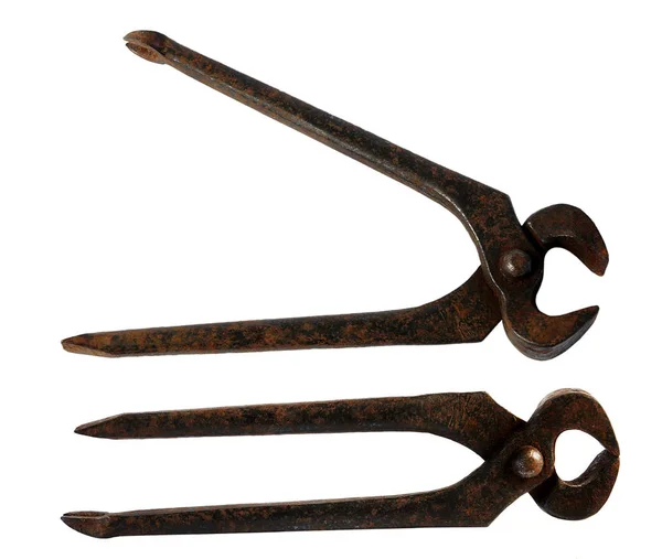 Two vintage pincers on white — Stock Photo, Image