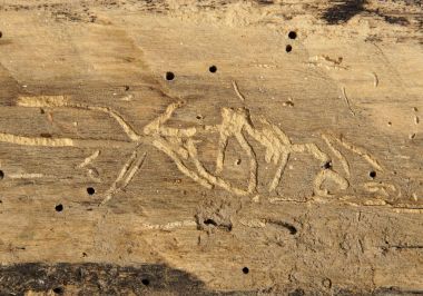 Odun kurdu delikleri ile eski günlük