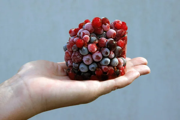 Frozen currant and raspberry on a female hand — Stock Photo, Image