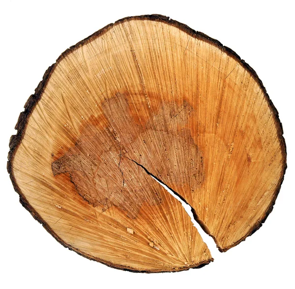 Грушевий перетин стовбура дерева — стокове фото