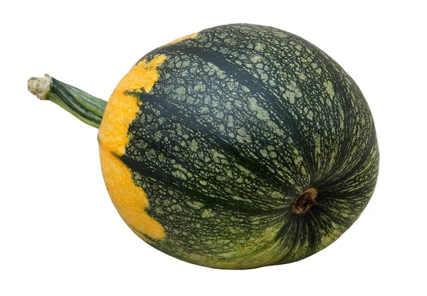 Maturare zucca fresca — Foto Stock