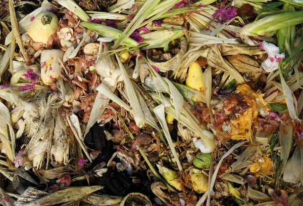 蔬菜堆肥桩 — 图库照片