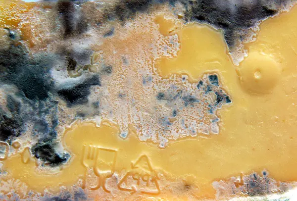 Kalıp ile şımarık peynir