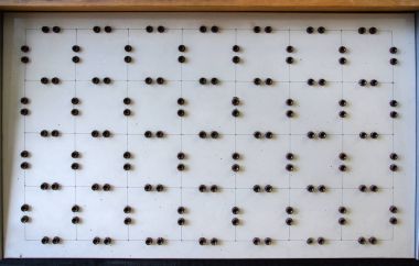 Vintage analog birimi