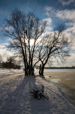 Ağaçlı kış manzarası