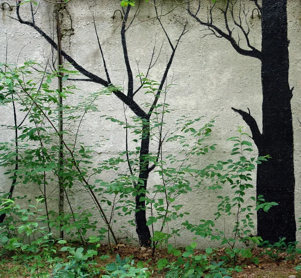 Metaforische bomen op een betonnen hek — Stockfoto