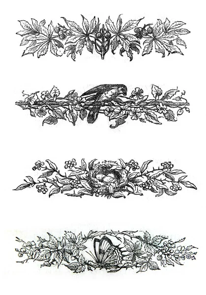 Engraving decorations from antique book — Stock Photo, Image