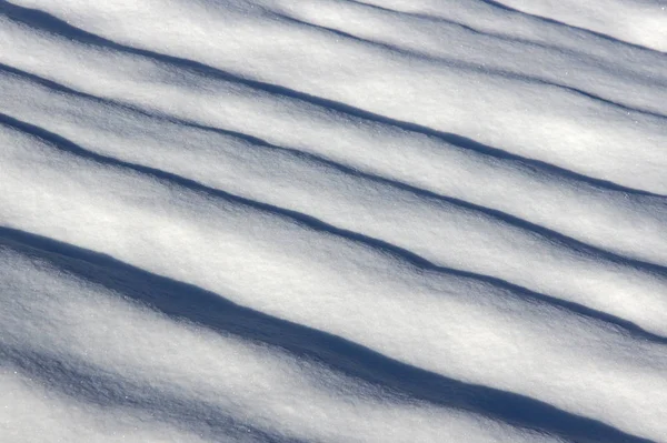 Cama vegetal sob neve — Fotografia de Stock
