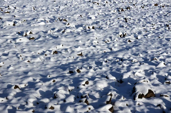 Gepflügtes Feld unter dem Schnee — Stockfoto