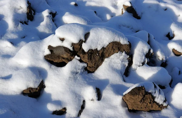 Campo arado sob a neve — Fotografia de Stock