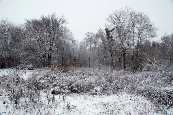 Winter countryside landscape photo — Stock Photo, Image