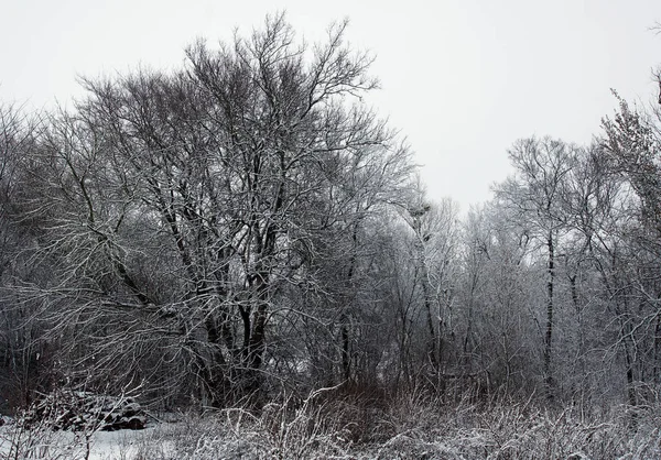 Winter countryside landscape photo — Stock Photo, Image