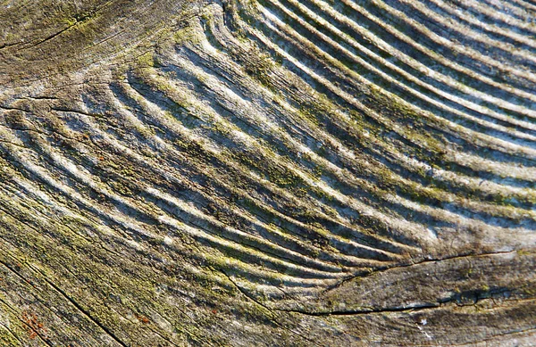 Prachtige Expressieve Textuur Van Oude Planken Met Knopen — Stockfoto