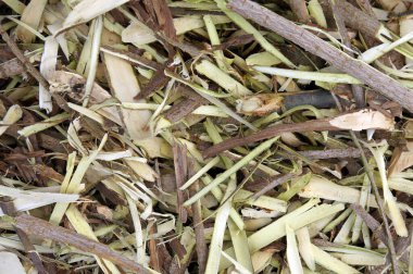 Arkaplan olarak talaş ve ağaç kabuğu yığını