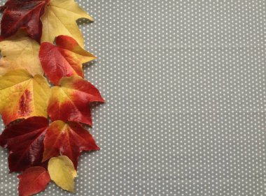 Gri benekli arka planda yaratıcı sonbahar kompozisyonu