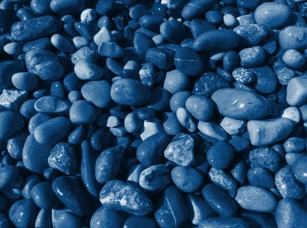 Sea småsten tonas i djup klassisk blå färg, abstrakt trendig bakgrund — Stockfoto