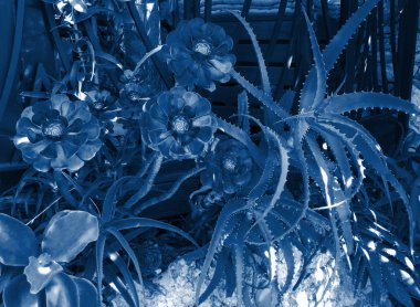 Bahçe çiçekleri koyu mavi renkli, çiçekli arka planda