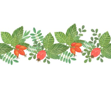 Yeşil yapraklı kırmızı gül çileklerinin yatay sınırı