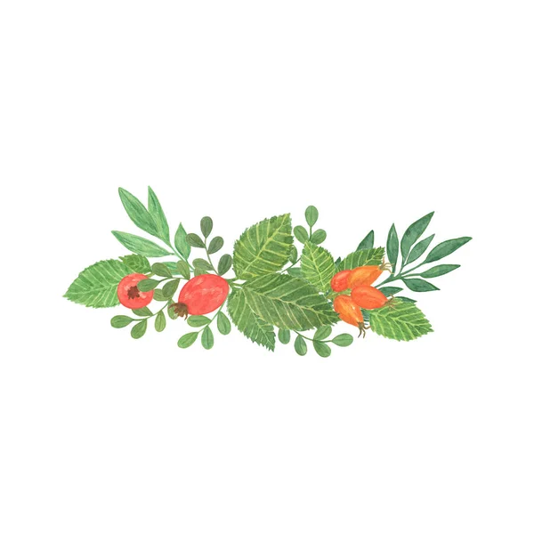 Dog rose, floral composition of red rosehip berries with green leaves — 스톡 사진