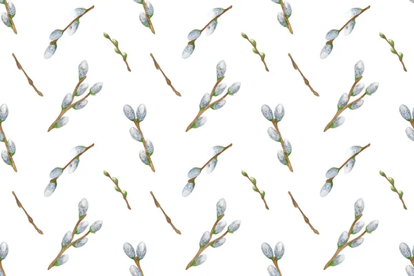 Primavera composición floral del coño esponjoso sauce ramas florecientes —  Fotos de Stock