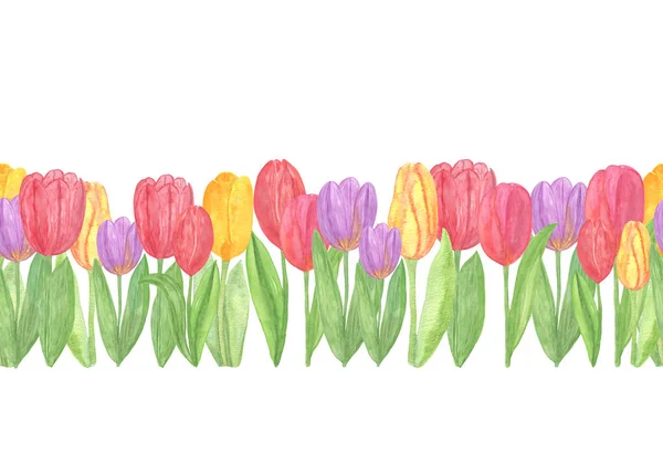 Colorful tulips, repeat pattern horizontal border, watercolor sp — Stock Photo, Image