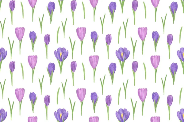 Повторюємо Візерунок Перших Весняних Квітів Фіолетовий Кролик Білому Тлі Простий — стокове фото