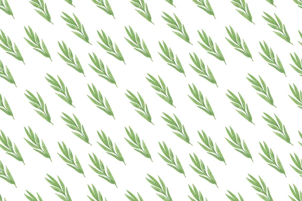 Repeat Pattern Watercolor Fancy Leaves Branches White Background Hand Drawn — Stock Photo, Image