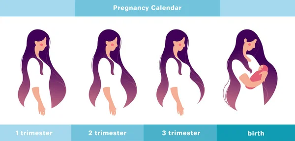 Schwangerschaftskalender, Hauptstadien. eine schwangere Frau im 1., 2., 3. Schwangerschaftsdrittel und mit einem Neugeborenen im Arm. Infografik mit einem netten Mädchen. flache Aktienvektorabbildung isoliert auf — Stockvektor