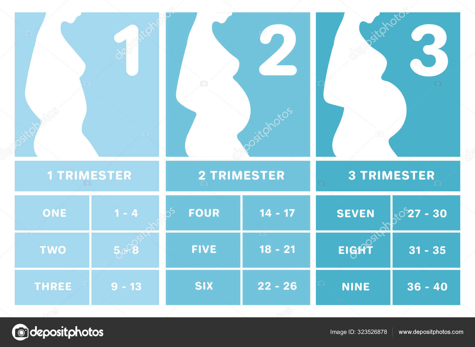 Pregnancy Months And Weeks Calendar Liane Ginnifer Pregnancy Months And Weeks Calendar Liane Ginnifer
