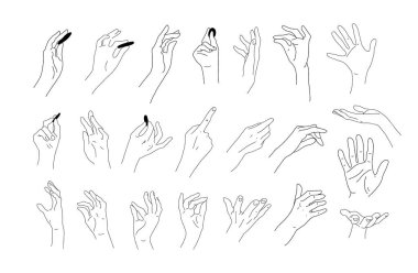 Bir dizi gerçekçi el çizimi. El, parmak ve avuç içi çizimleri. Tasarım için elementler. El ele tutuşun, verin, dokunun. Vektör karalama çizimi.