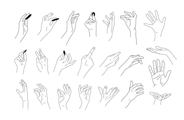 많은 실제적 인 수작업 스케치들이 있습니다. 손, 손가락, 손바닥에 대한 라이노 도면. 설계를 위한 요소. 손잡고, 주고, 만지고. 벡터 낙서 그림. — 스톡 벡터