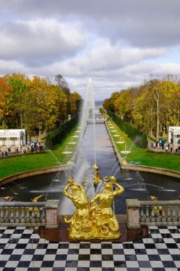 Saint Petersburg, Rusya - 9 Ekim 2016. Grand art arda sıralı kanal, Petergof, Saint Petersburg, Rusya Federasyonu.