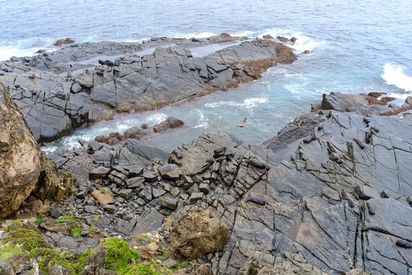 Rock Vlny Moři Deštivý Den Kangaroo Island Jižní Austrálie — Stock fotografie