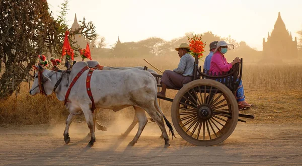 Bagan Myanmar Şubat 2016 Tozlu Yolda Günbatımı Bagan Myanmar Turist — Stok fotoğraf