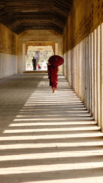 Баган Мьянма Февраля 2016 Монах Красным Зонтиком Идет Храму Швецигона — стоковое фото