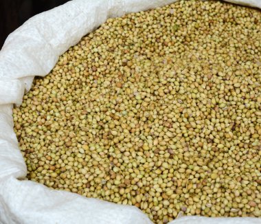 Köriler eski Delhi, Hindistan yerel pazarda Satılık.