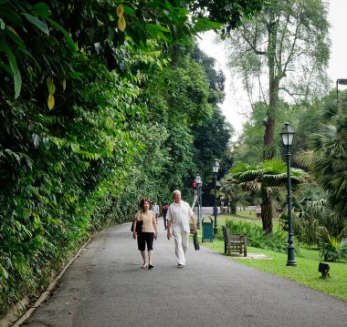 Singapur - 15 Aralık 2015. İnsanlar aracılığıyla Singapur botanik bahçeleri Singapur. 1859 yılında açıldı, bahçeler şimdi 74 hektarlık masrafları.
