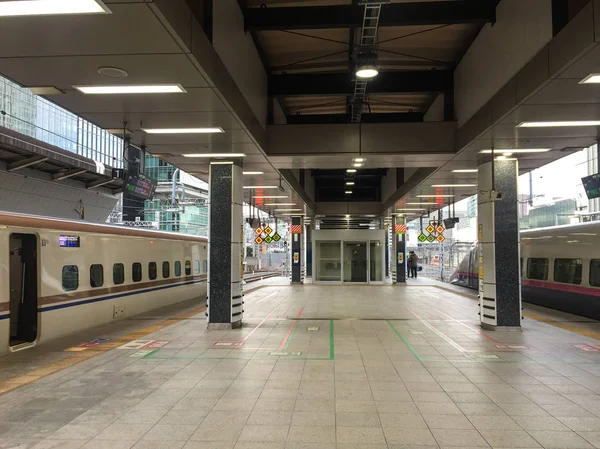 日本东京 2016年1月2日 日本东京小火车站的景色 — 图库照片