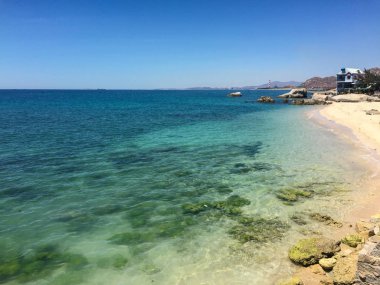 MUI Ne, Güney Vietnam yosun ile güzel bir plaj.