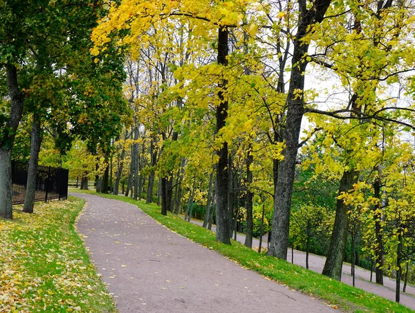 Herfst Tuin Met Weg Europa — Stockfoto