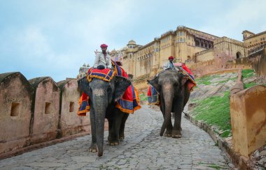 Jaipur, Hindistan - 28 Temmuz 2015. Hint mahouts ve onların filler Amber Fort, muhteşem müstahkem Sarayı yakın. Bu Maharajah ' 2013 yılında nun UNESCO Dünya Miras Listesi.