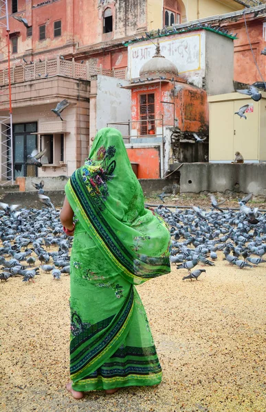 Een Vrouw Duiven Voederen Straat Jaipur India Jaipur Roze Stad — Stockfoto