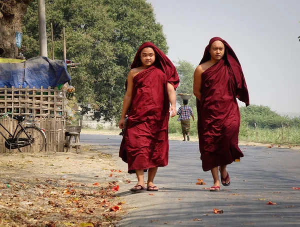 Янгон Мьянма Февраля 2016 Буддийские Монахи Идут Улице Янгоне Мьянма — стоковое фото
