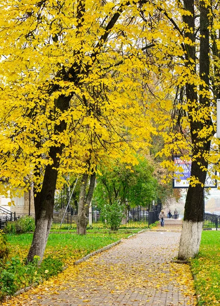 Saint Petersburg, Rusya - 3 Ekim 2016. Saint Petersburg, Rusya'nın Şehir Parkı Caddesi'nde yürürken insanlar.