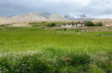 Kuzey Hindistan'da Himalaya dağ manzarası 