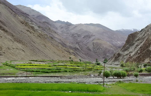 Καταπράσινες Κοιλάδες Βουνά Στο Leh Ladakh Ινδία Ladakh Είναι Μία — Φωτογραφία Αρχείου
