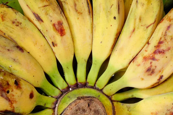 Plátano Cultivado Para Venta Por Menor Mercado Local Frutas Asia — Foto de Stock